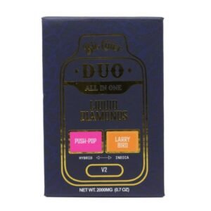 Big Chief Duo 2g AIO | Push-Pop x Larry Bird