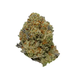 Gelato King strain