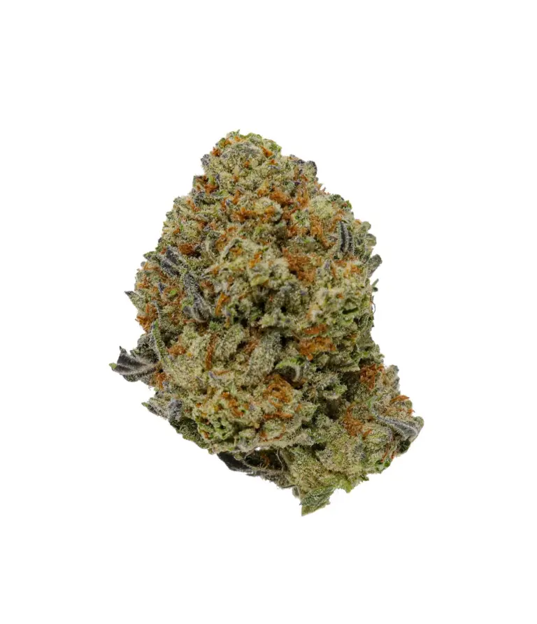 Gelato King strain