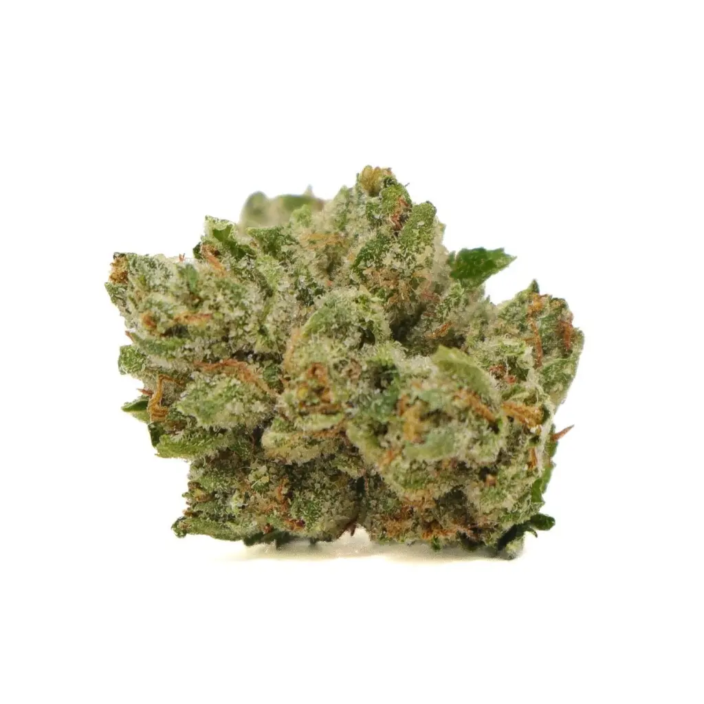 Legend OG smalls