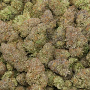 TOP SHELF