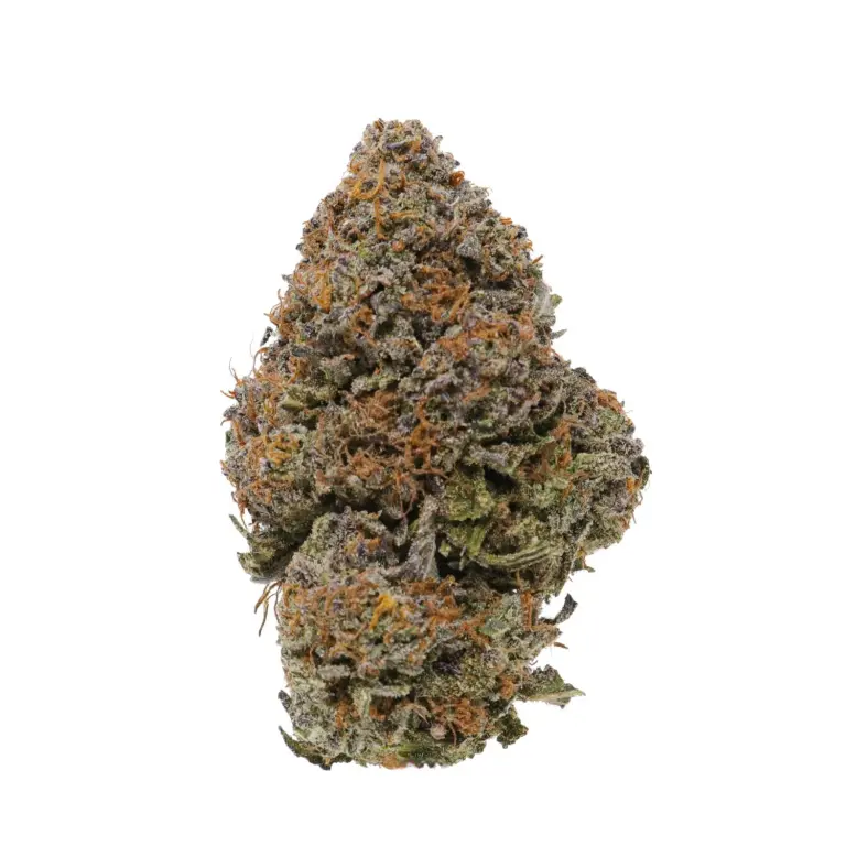Platinum Kush strain