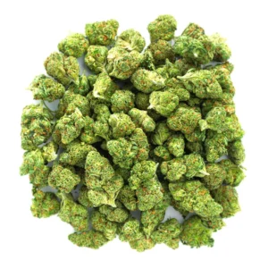 SFV OG strain